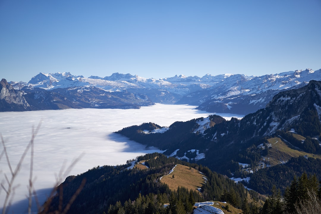 Swiss Alps